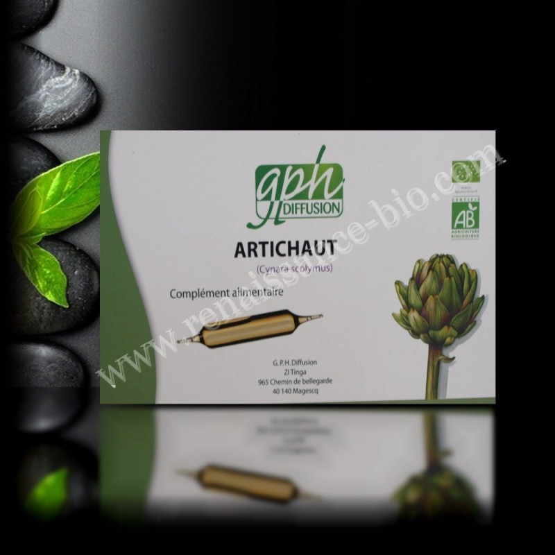 Ampoules feuille d'artichaut bio