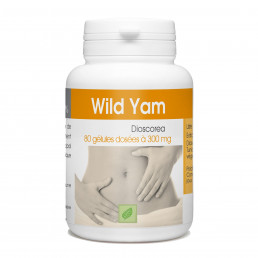 Wild Yam - 300 mg - 80 gélules