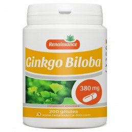 GINKGO BILOBA - 380 mg - 200 gélules 