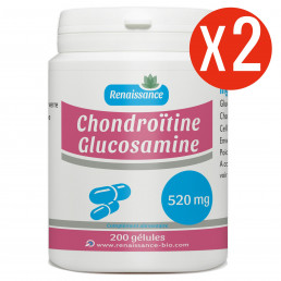 Glucosamine et Chondroitine 400 gélules 520 mg