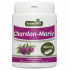 CHARDON MARIE 200 gélules dosées à 480 mg