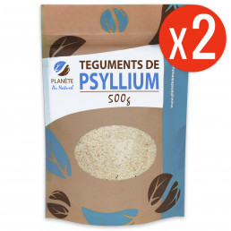 Psyllium Blond Téguments 1 kg