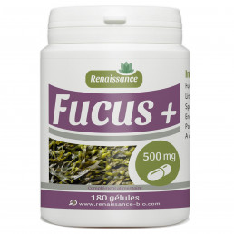 Fucus + 500mg - 180 Gelules - Renaissance-Bio