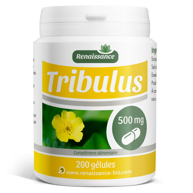 Vente de Tribulus Terrestris 500 mg 200 gélules Tonus Vitalité