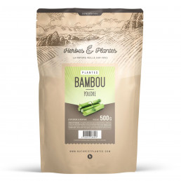 Bambou Tabashir en poudre 500 gr