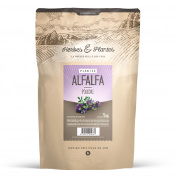Alfalfa (luzerne) - 1 Kg de poudre