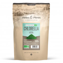 Algue Chlorella en poudre 500 gr