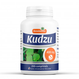 Kudzu dosés à 600 mg par comprime 