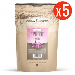 Epilobe - Poudre 5 kg